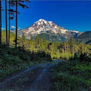 Original Unframed Print of Mount Rainier at Sunset